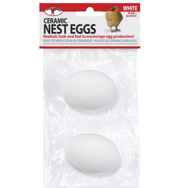 CERAMIC POULTRY EGGS WHITE (2PK)