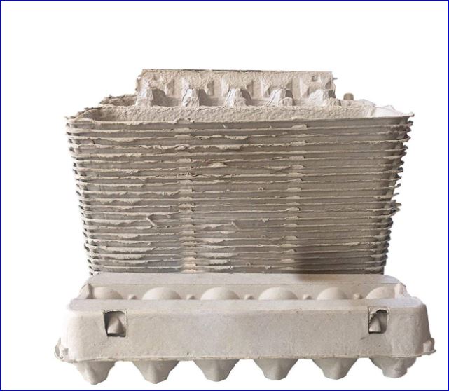 EGG CARTON (PULP) 10PK