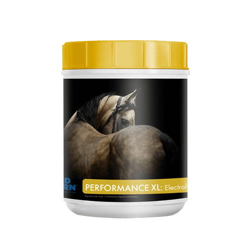 MAD BARN PERFORMANCE XL: ELECTROLYTES 1KG